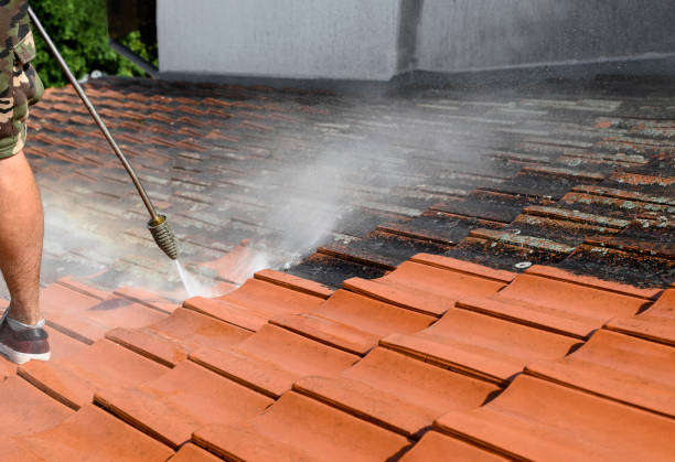 Best Commercial Building Pressure Washing  in Edgewater, FL