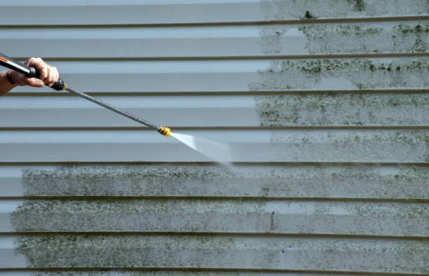 Best Pressure Washing Driveway  in Edgewater, FL